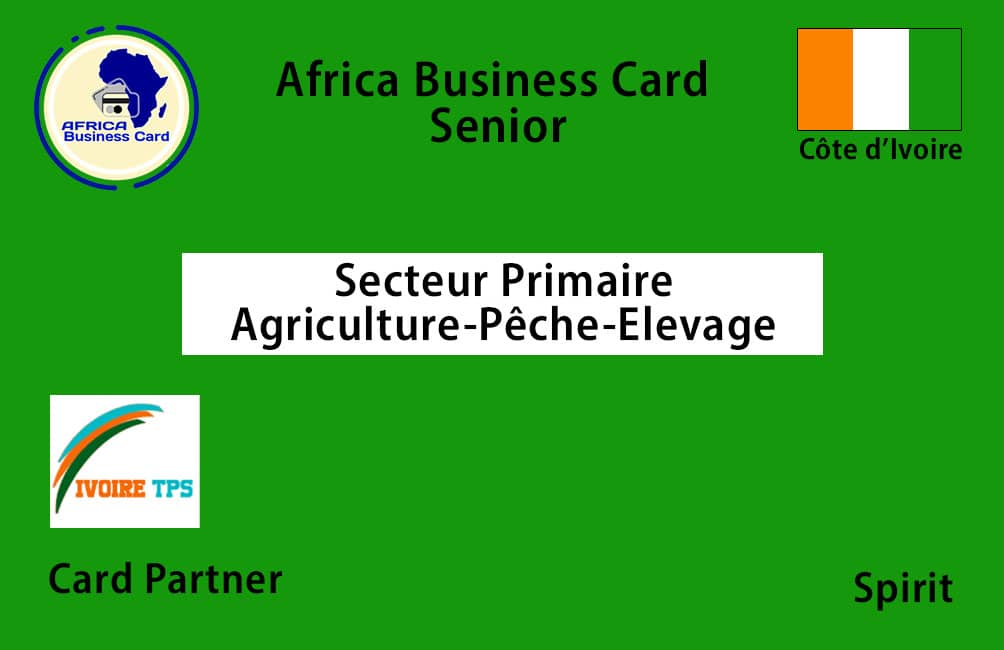 Exemple de carte Africa Business Card — Senior, Secteur primaire