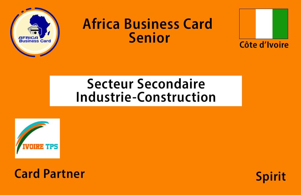 Exemple de carte Africa Business Card — Senior, Secteur secondaire